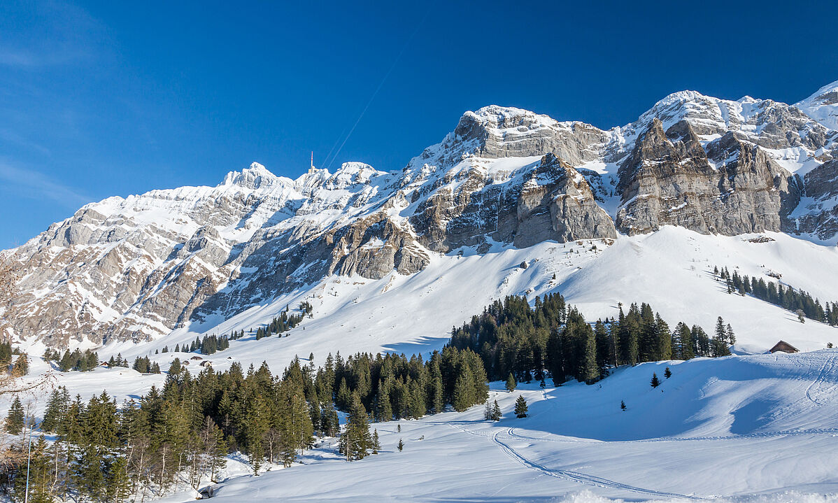 Steuern in Appenzell Ausserrhoden